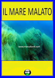 IL MARE MALATO