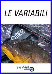 LE VARIABILI