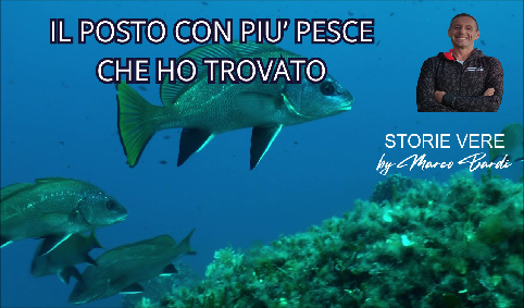 POSTO CON PIU PESCE
