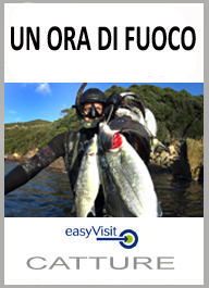 UN ORA DI F
