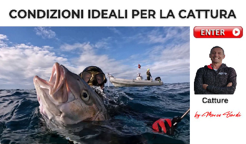 bott condizioni ideali