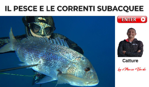 bott correnti sub