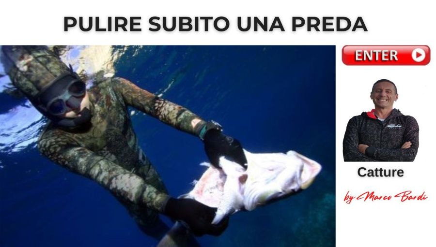 bott pulire subito una preda
