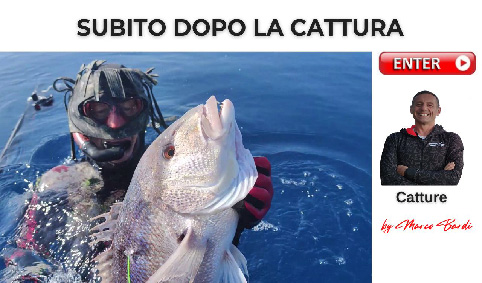 bott subito dopo la cattura