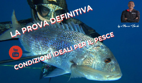 bott video prova definitiva