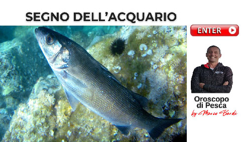 bottone segno acquario