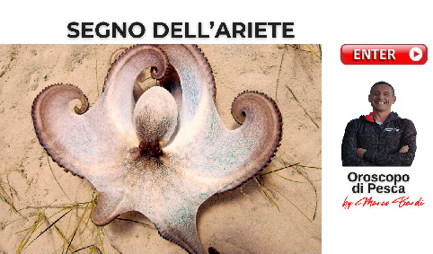 bottone segno ariete