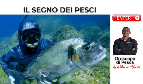 bottone segno dei pesci