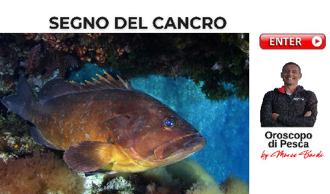 bottone segno del cancro