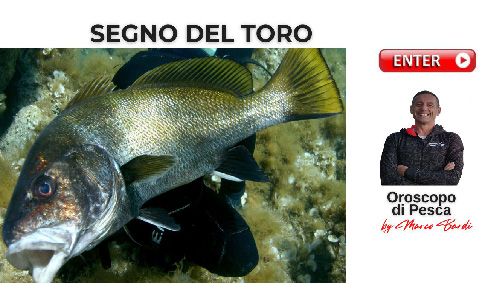 bottone segno toro